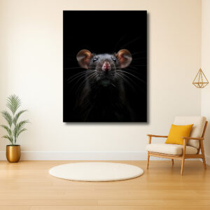 Intrigerend portret van een rat in de schaduw
