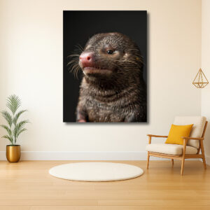Portret van een nieuwsgierig wezen