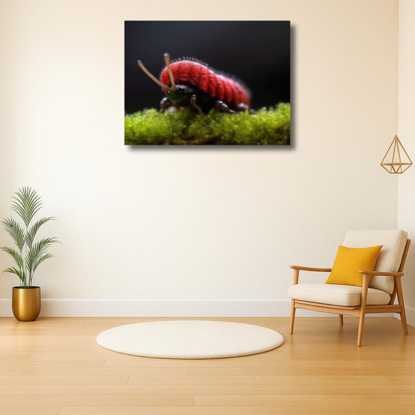 Felle kleuren op een klein insect