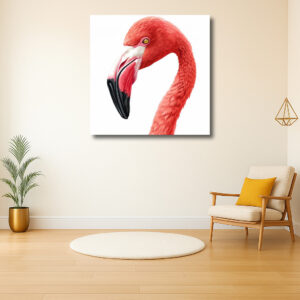Zijprofiel van een sierlijke flamingo